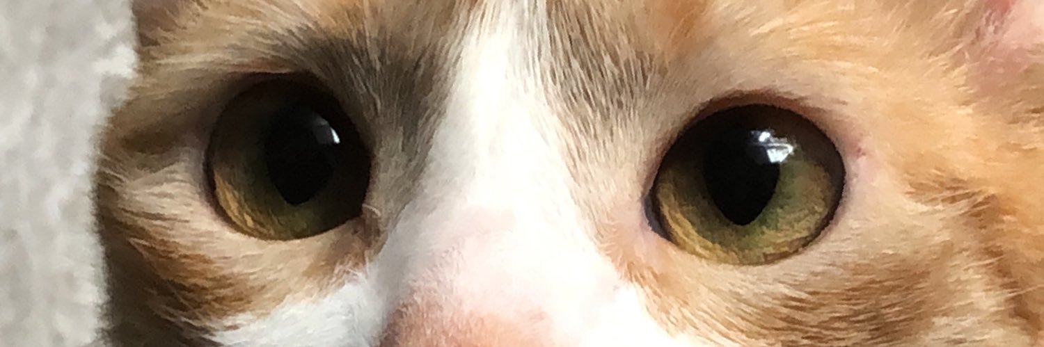 assiars2's profile banner image