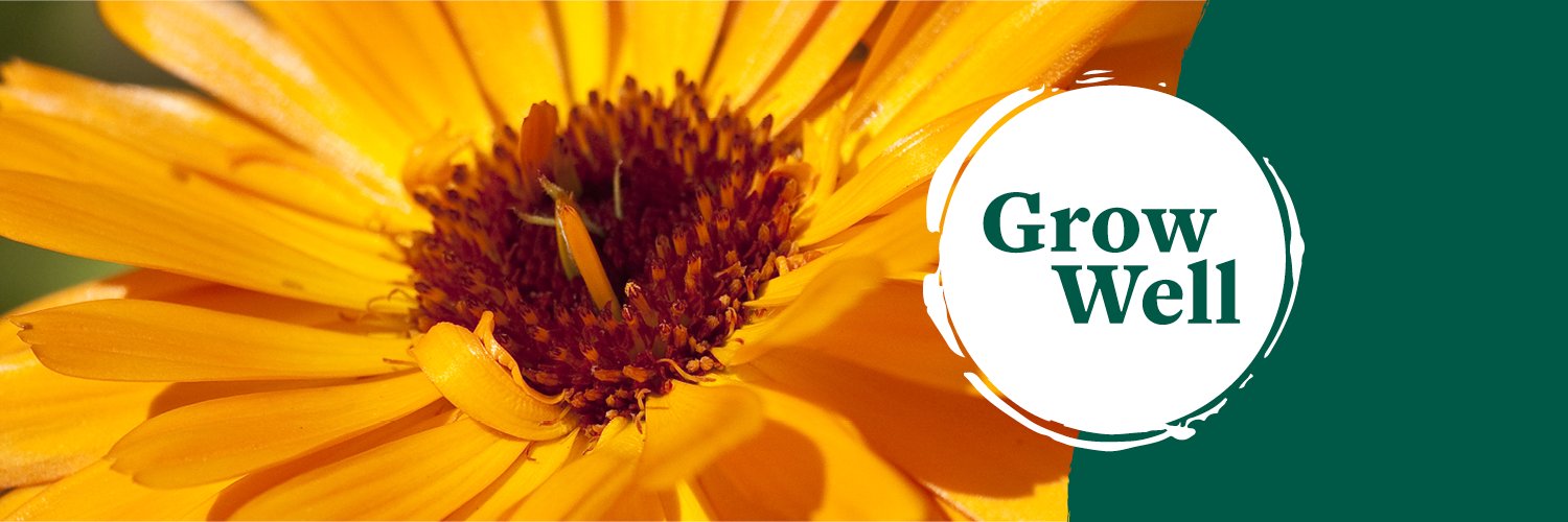 RHS Campaign for School Gardening banner