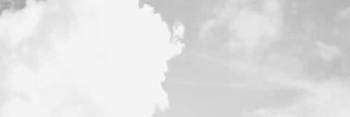 briibretta's profile banner image