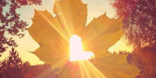 08chrystel's profile banner image