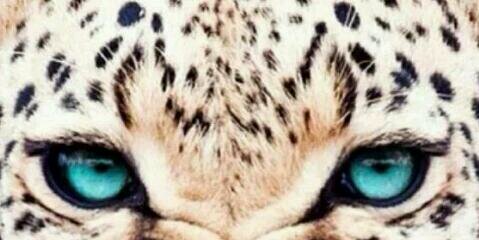 marlieke_x's profile banner image