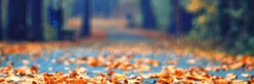 BerguzarUnall's profile banner image