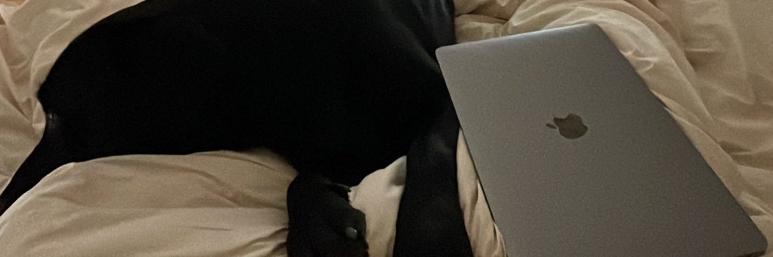 leariouu's profile banner image