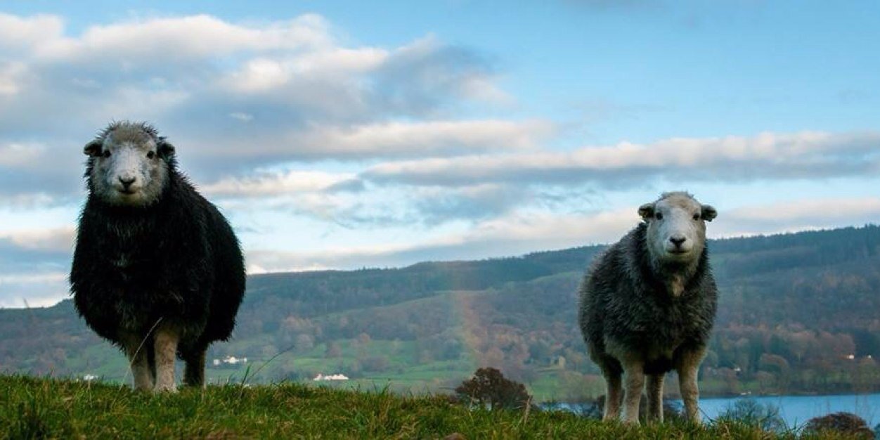 JaneOyston's profile banner image