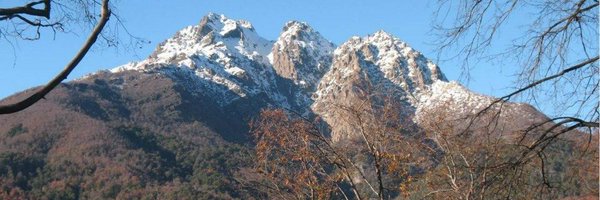 utvtelevision Profile Banner