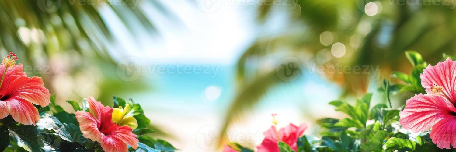 princesssbell3's profile banner image