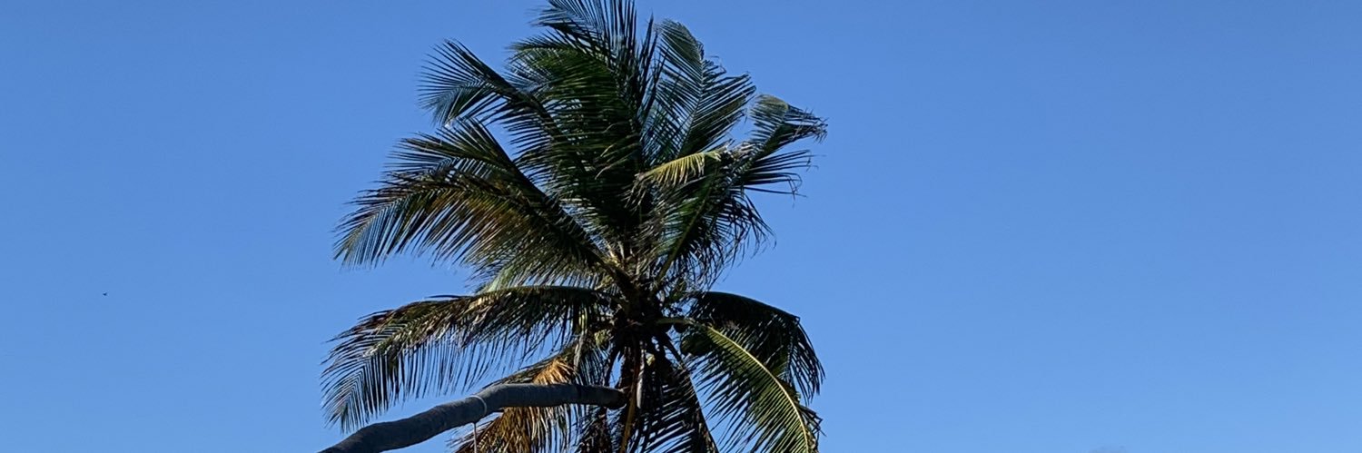 XgretsX's profile banner image