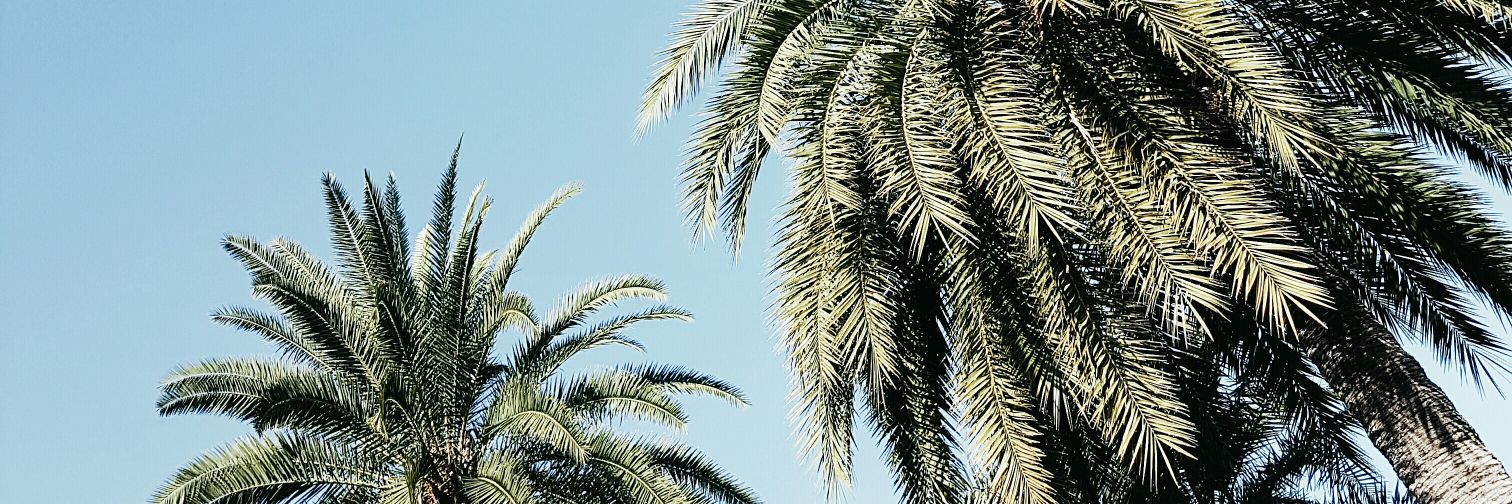gdoctolero's profile banner image
