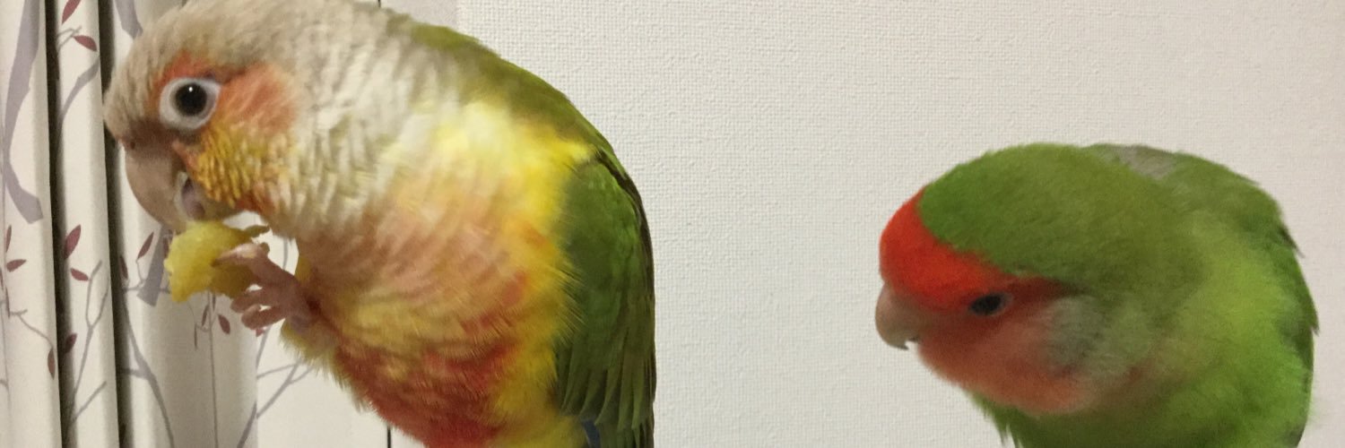 naopoohooooo's profile banner image