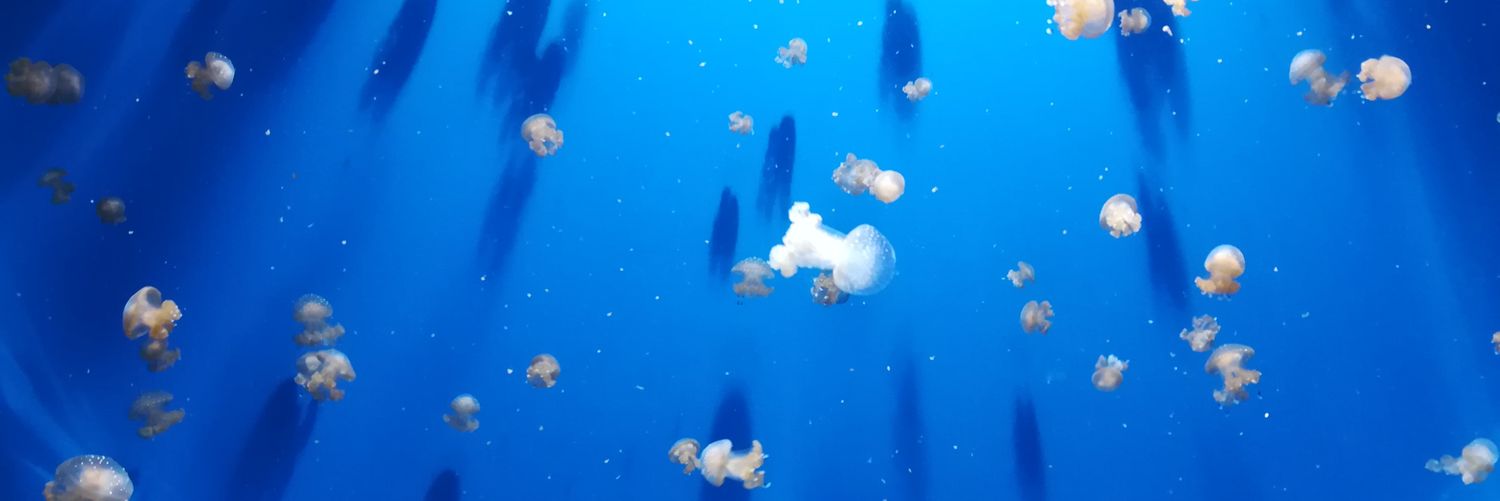 almuchi28's profile banner image