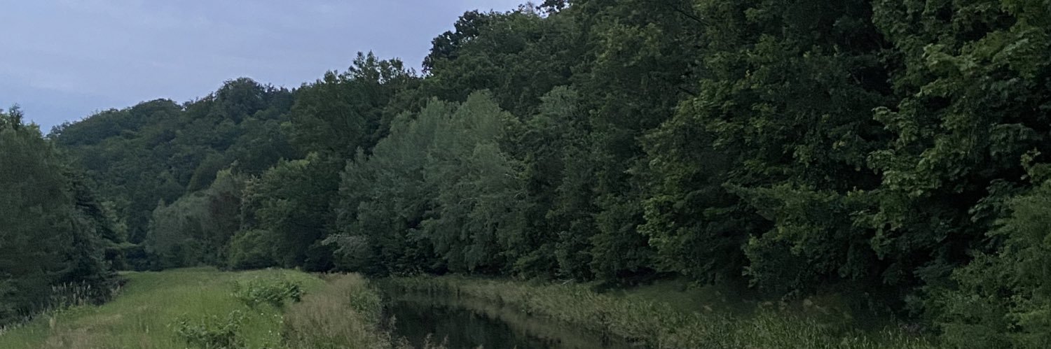 Qwertywsad1's profile banner image