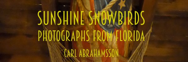 CaAbrahamsson Profile Banner