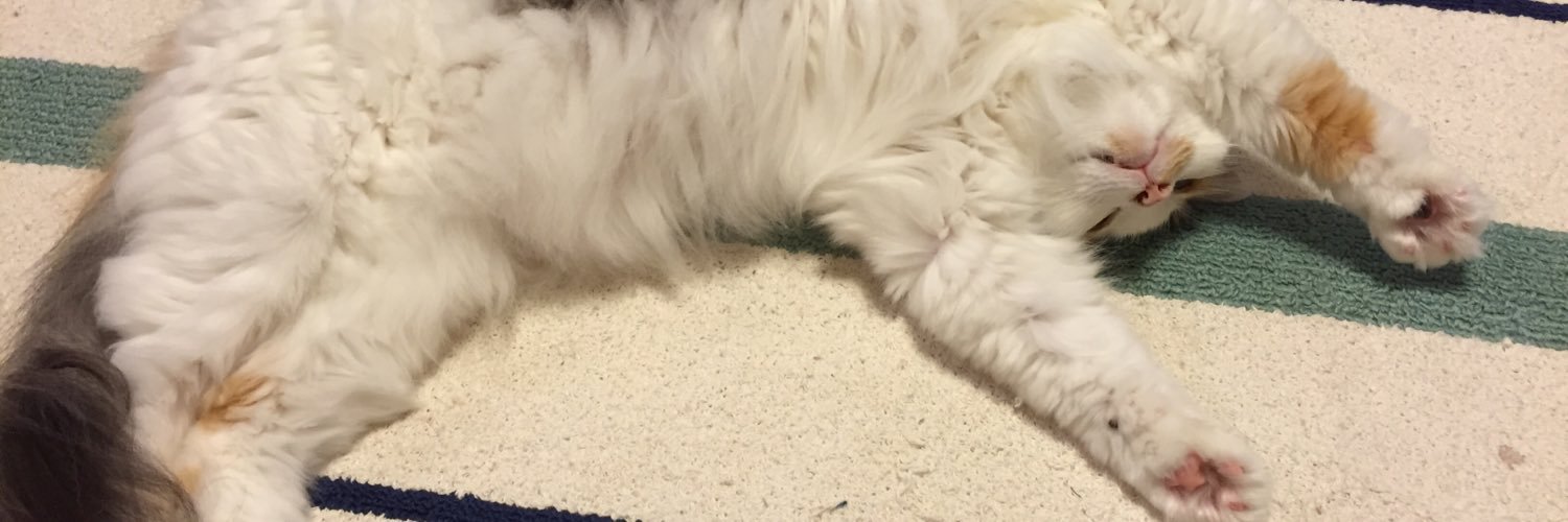 chobix001's profile banner image