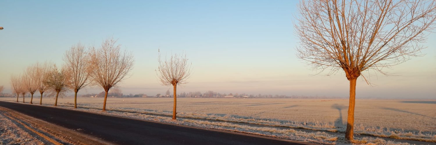 Hein Molenkamp banner