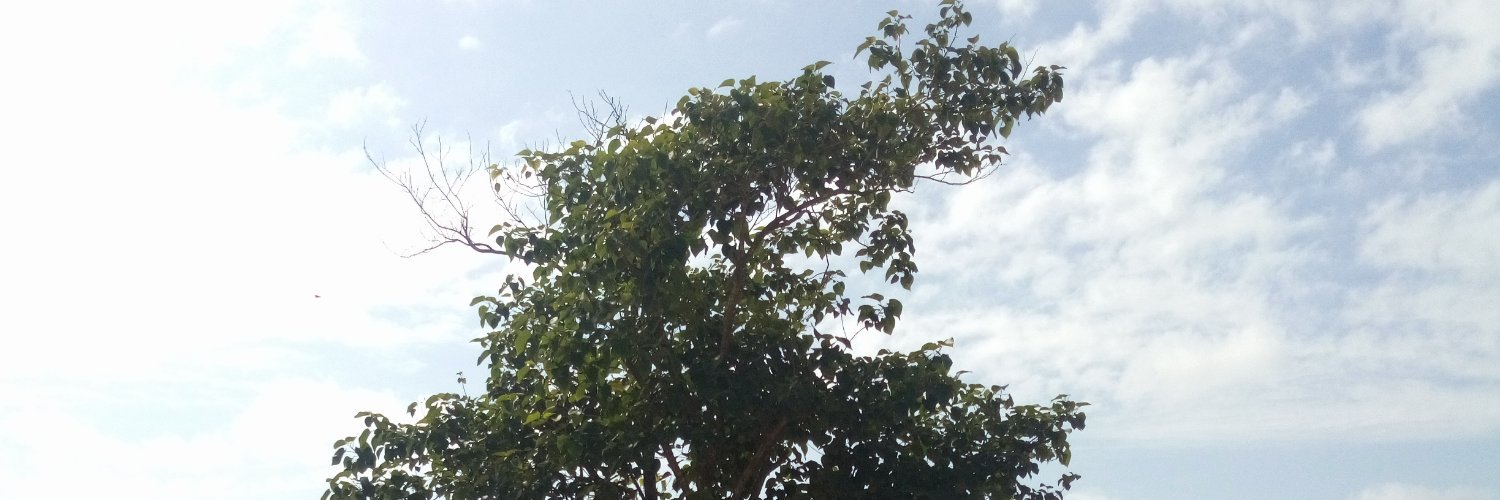 systemfbaby's profile banner image