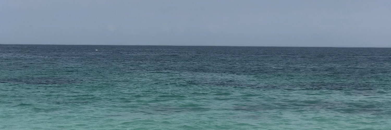 Ana Melissa 🦕 banner