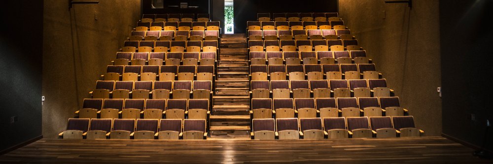 Teatro Border banner