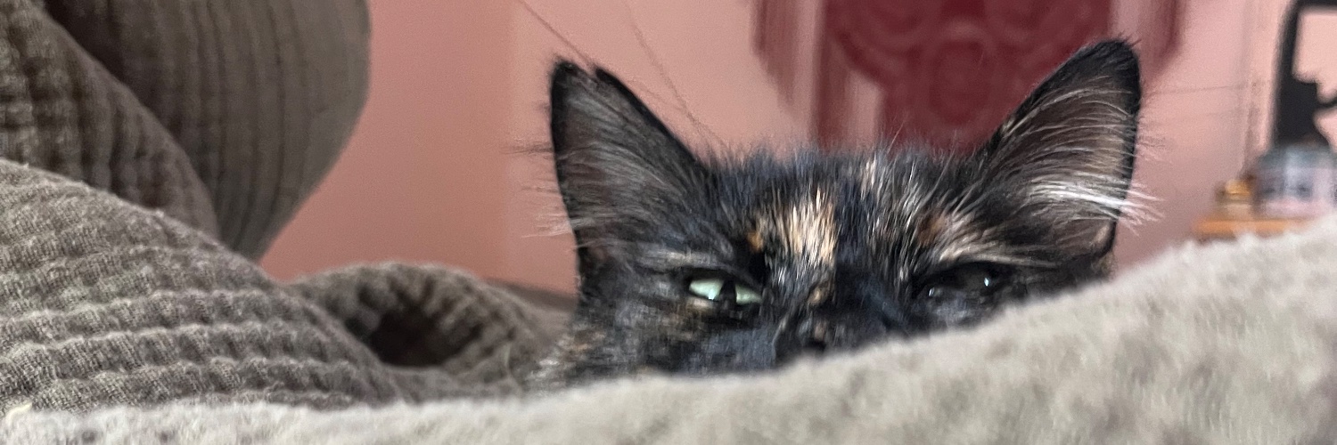 MeliNemo's profile banner image