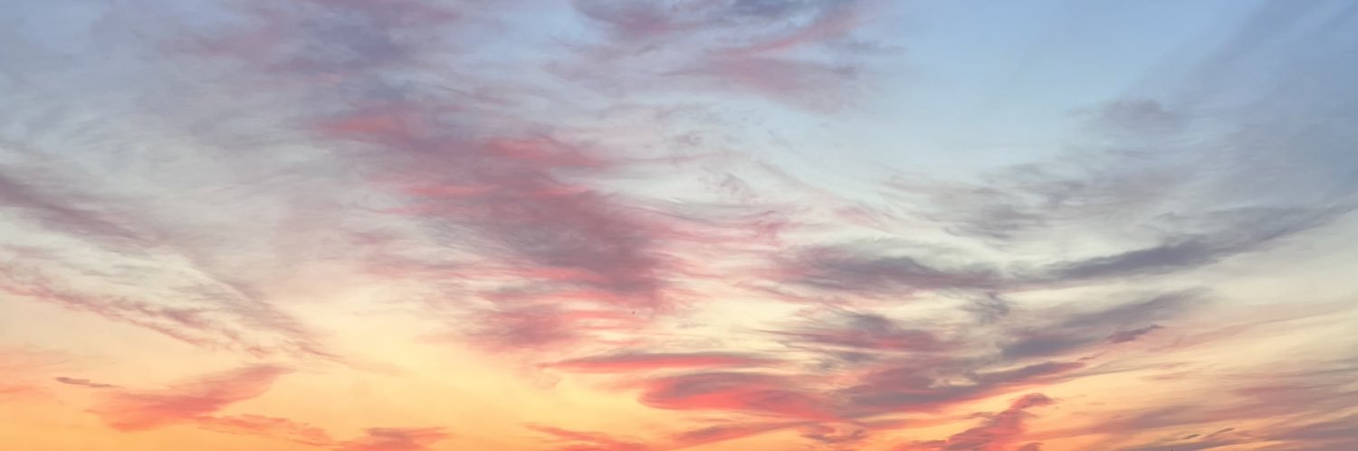 Nadya Whatever banner