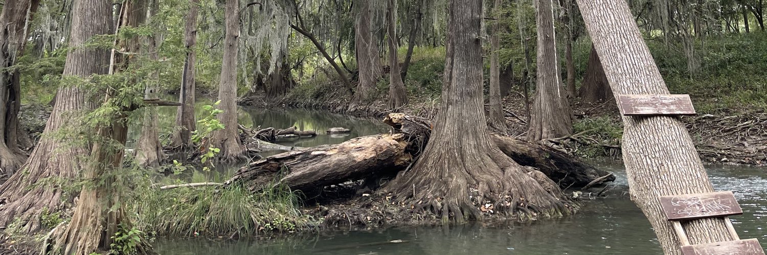 bassntx's profile banner image