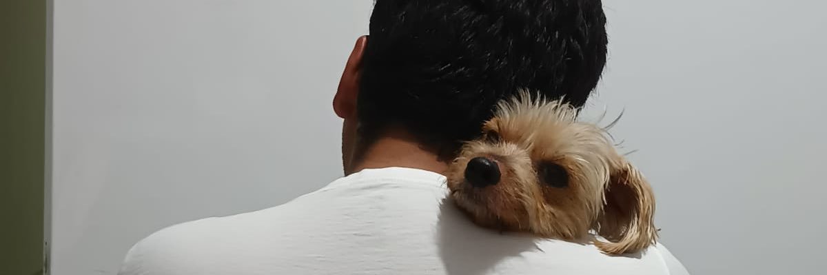 luisnumb's profile banner image