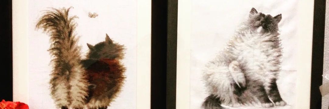 ひぃ banner