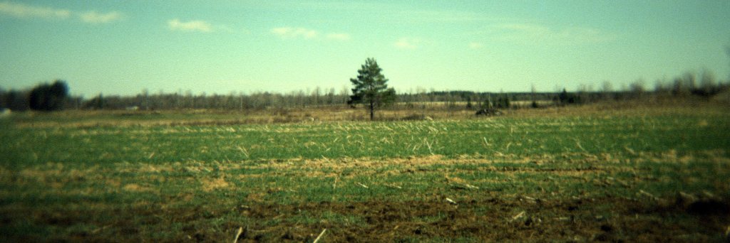 johndan banner