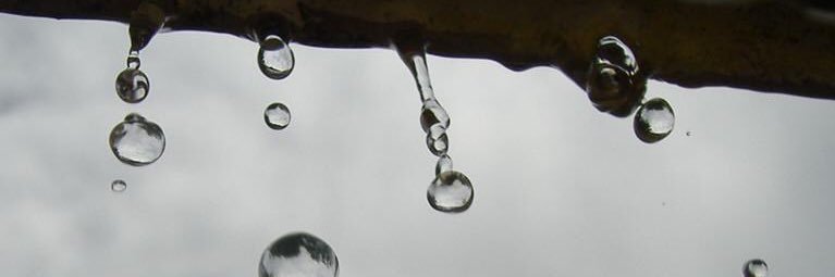 sbsgallo's profile banner image