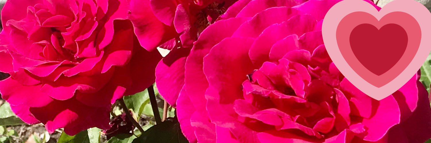 mirjim222's profile banner image
