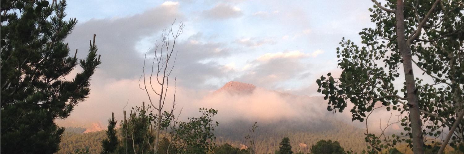Dianna Lucas banner