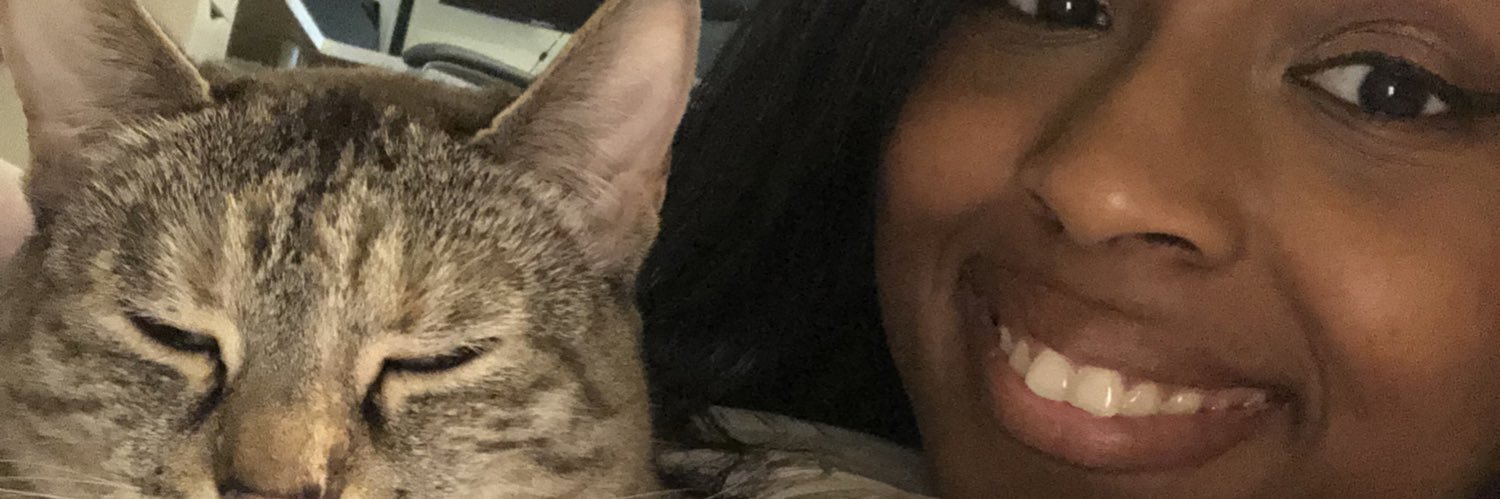thebrittneyoddo's profile banner image