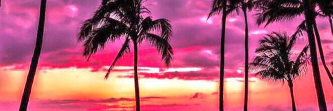 Brenna_2Point0's profile banner image