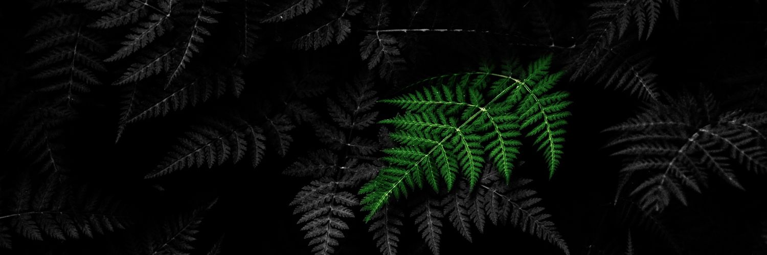 Siteri1908's profile banner image