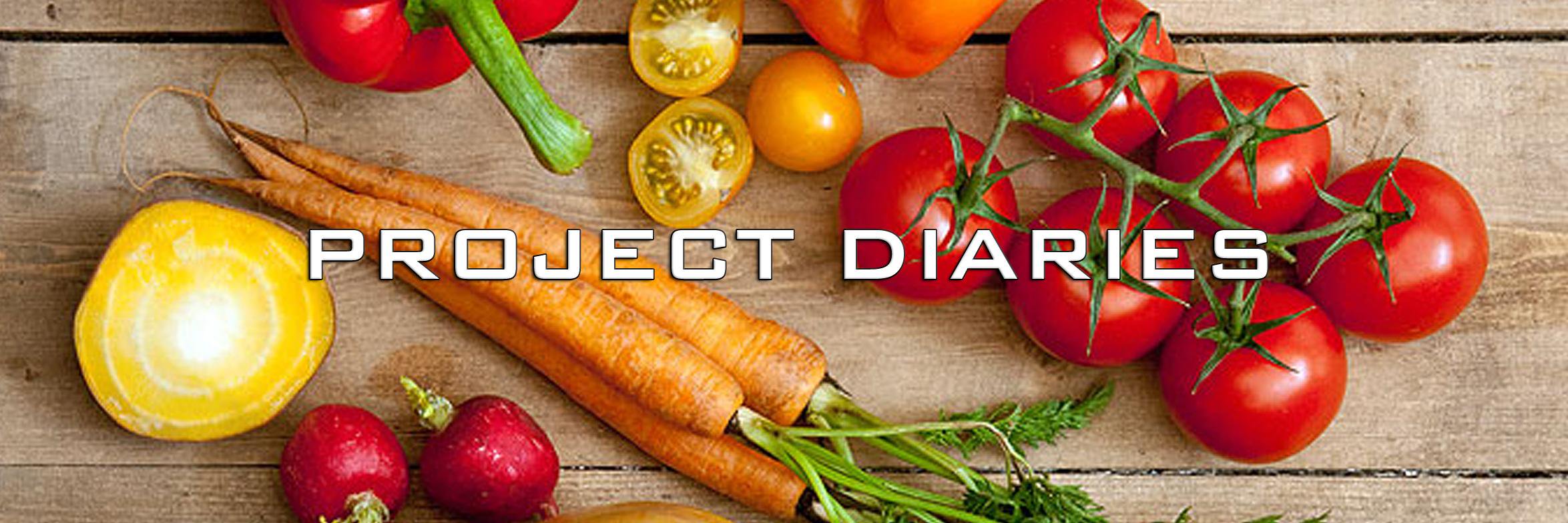 Project_Diaries's profile banner image