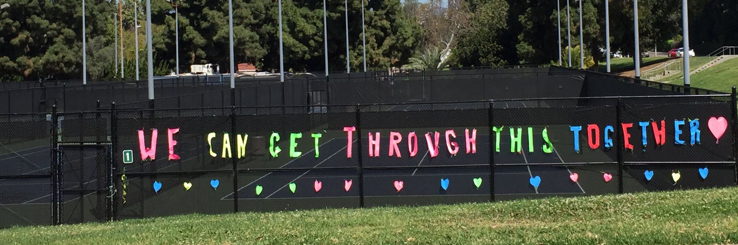 Lisa Schwartz banner