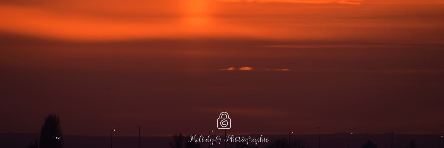 melounantho's profile banner image