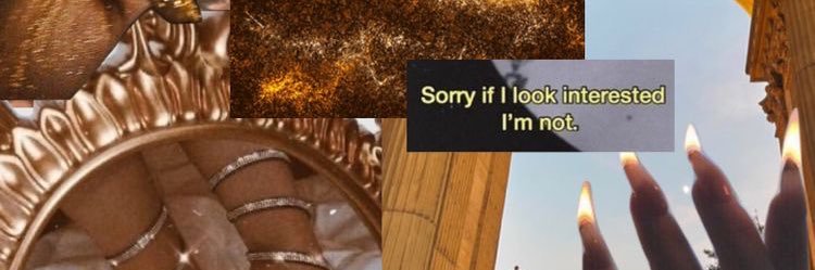 laritwoo's profile banner image