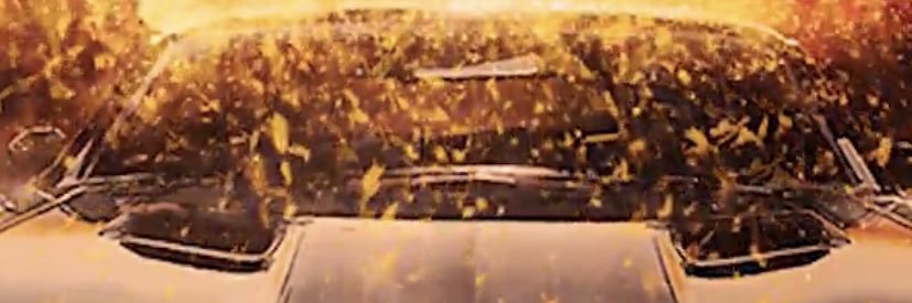 Kyle Reese's banner