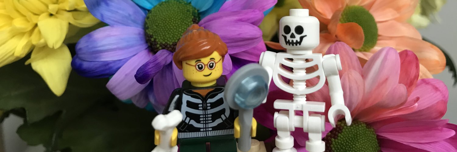 SkellieGirl's profile banner image