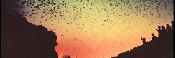 Makinflipeflop Profile Banner