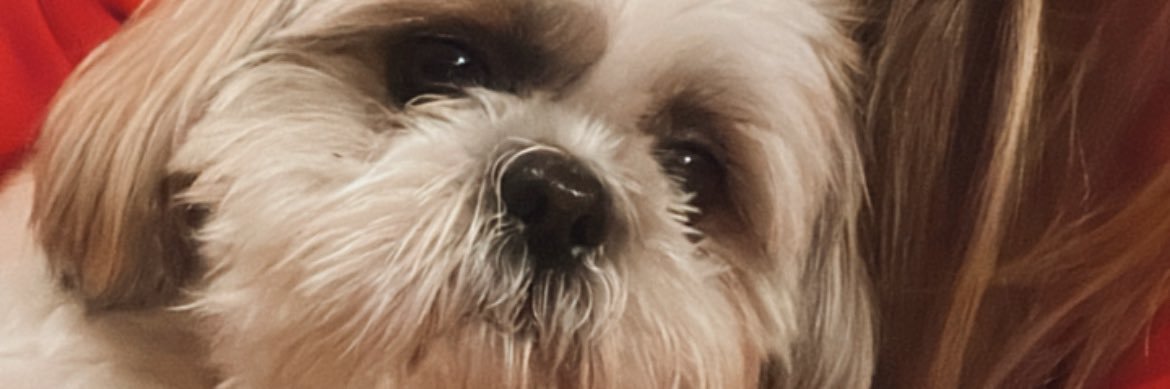 Andrea ♡ banner
