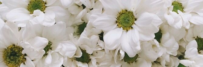 PapaBatata's profile banner image