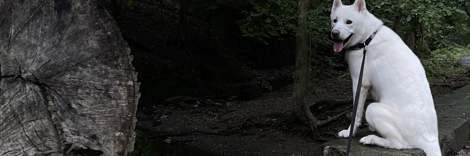 francc250's profile banner image