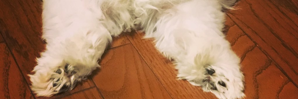 maahoo722's profile banner image
