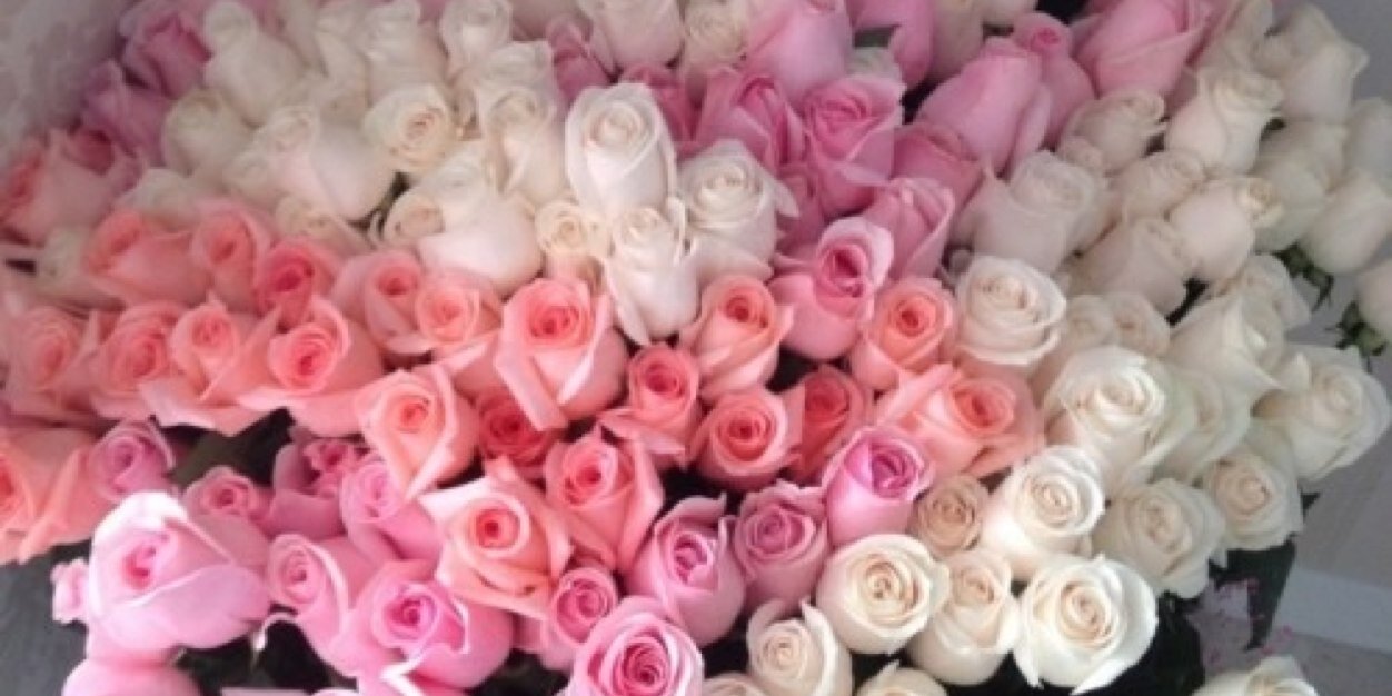 Rawan295's profile banner image