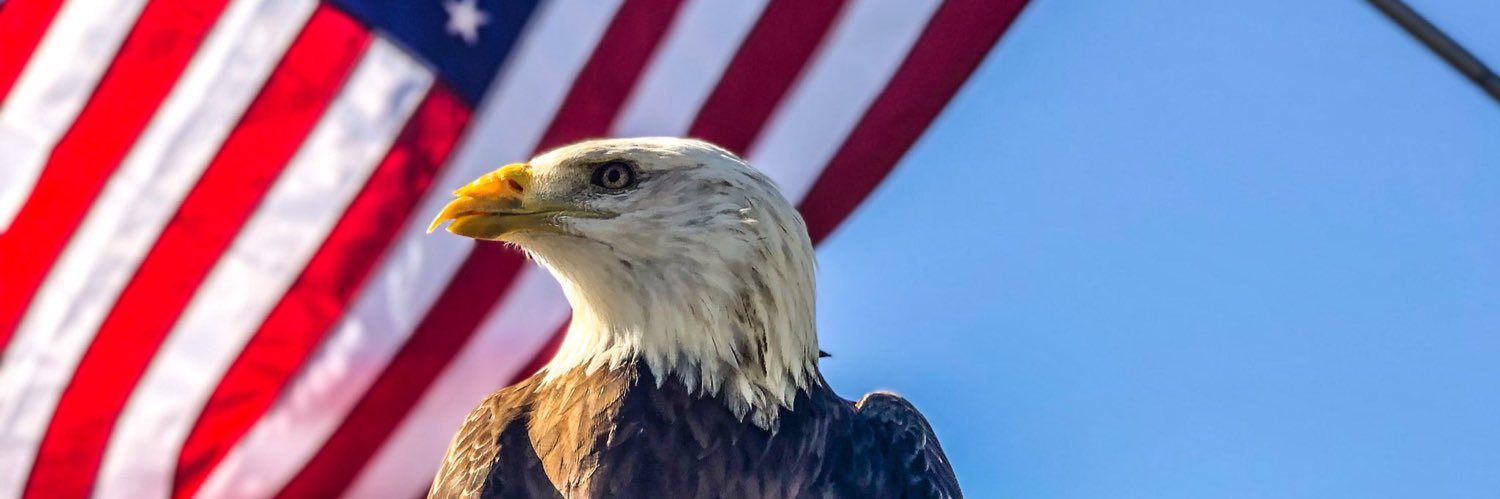 Steven O. Cruse 🇺🇸🏴‍☠️ banner