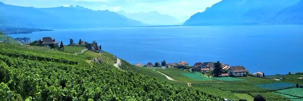 brutdecuve Profile Banner