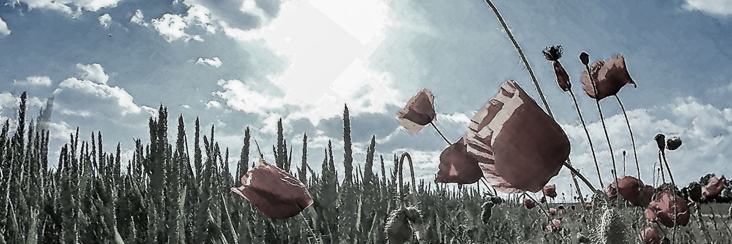 El_DudeRG's profile banner image