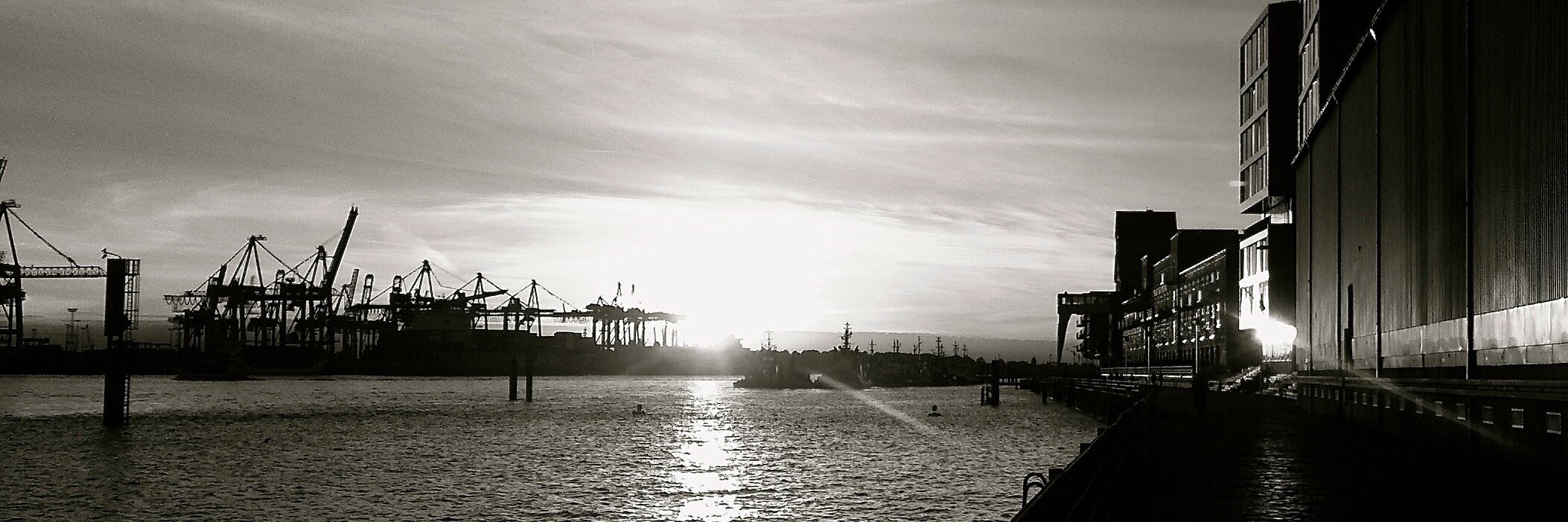 Moritz Dickentmann banner