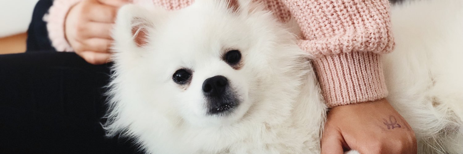 lisapalssons's profile banner image